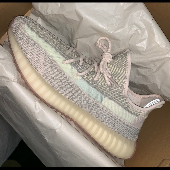 Meet your Posher, Kyle - Picture 1 of 1